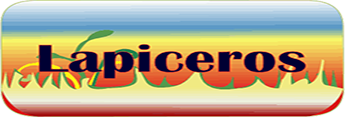 lapicero